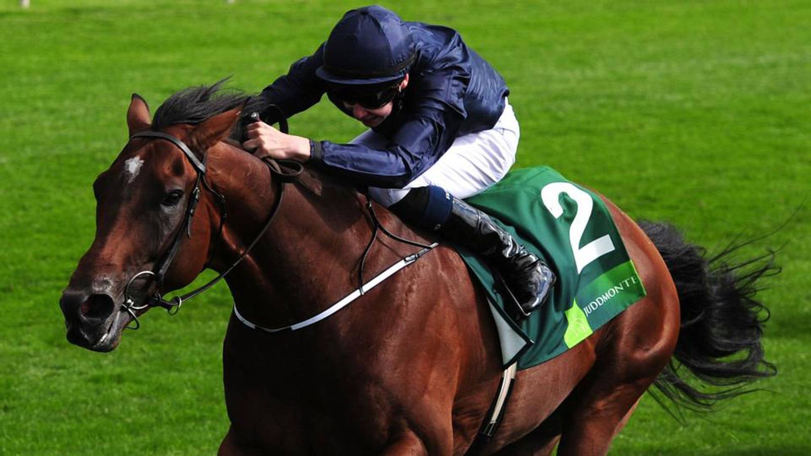 Ryan Moore Set For Ballydoyle Rides At Breeders Cup The Irish Times 1589