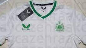 Newcastle wearing Saudi colours would be ‘clear evidence’ of sportswashing