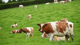 Average dairy farm income in Ireland surges to record €148,000  