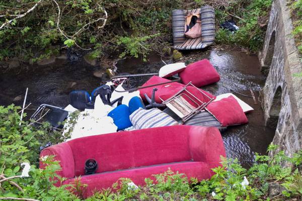 ‘Sickening’ dumping of household items in Co Meath river near family of otters