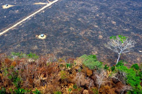 Brazil’s Jair Bolsonaro fans the fires of corruption