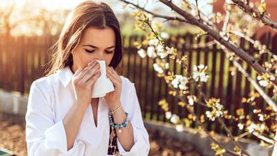 Seán Moncrieff: It’s almost like we’re asking for allergies