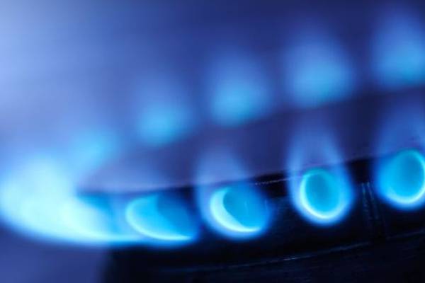 Government urged to help households and businesses with energy costs
