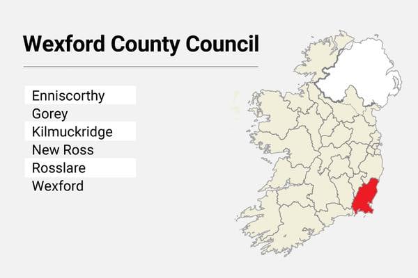 Local Elections: Wexford County Council candidate list 