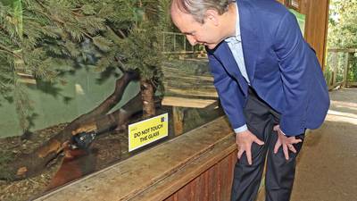 Close call for Taoiseach as Dublin Zoo welcomes visitors