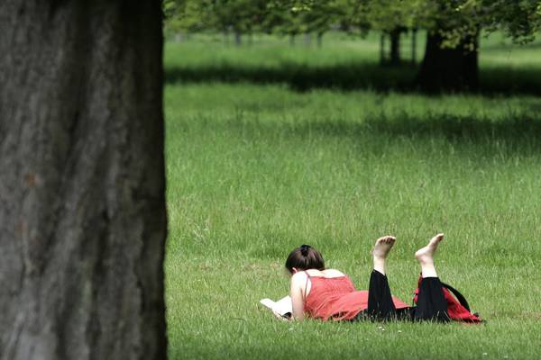 Green spaces in cities must be improved, says TCD academic