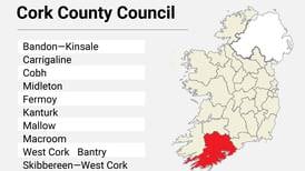 Local Elections: Cork County Council candidate list