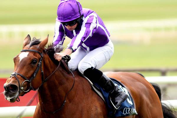 Magical tops the betting for Leopardstown’s Irish Champion Stakes