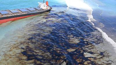 Sea life around Mauritius dying as Japanese tanker oil spill spreads