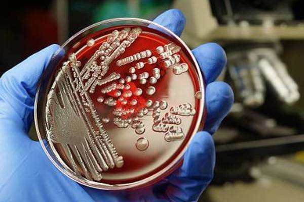 X-ray techniques used on E.coli in push for new antibiotics