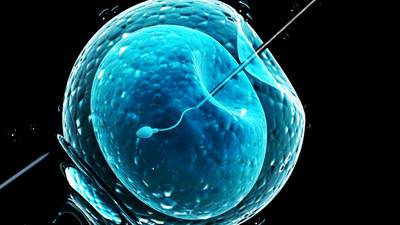 Infertility treatment: When will free IVF be introduced in Ireland?