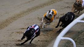 Greyhound Racing Ireland sought €27,000 pay increase for new chief