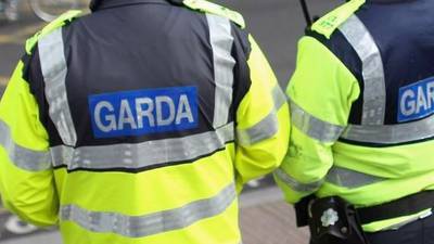 Sergeants, inspectors strongly opposed to plans for Garda reform