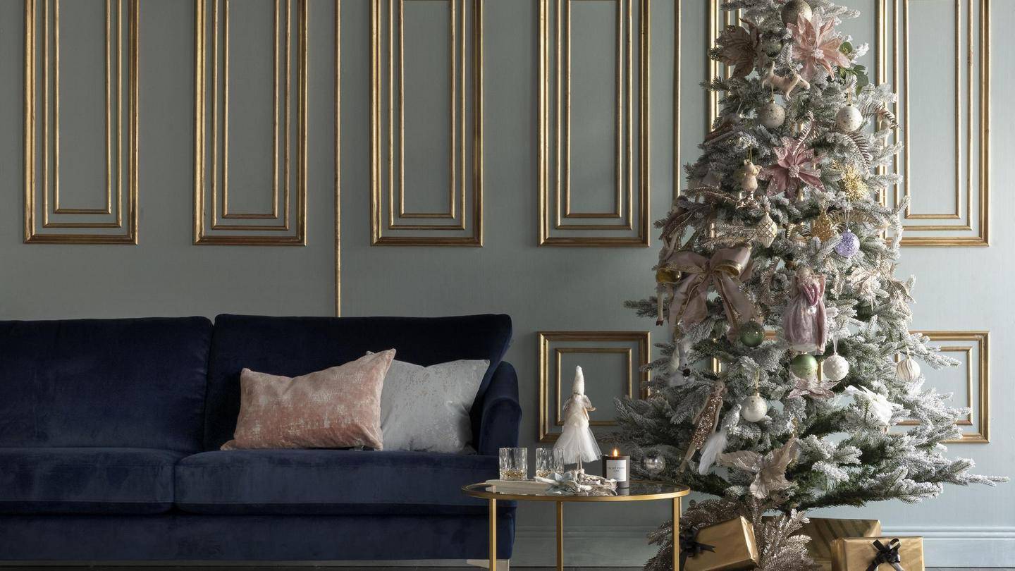 A guide to choosing the best Christmas tree for your home – The Irish Times
