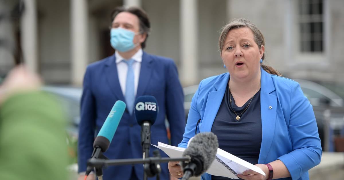 Green Senator  Róisín Garvey  enters race to become party’s deputy leader