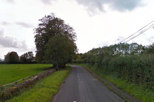 Cattle killed after vehicle deliberately driven through field