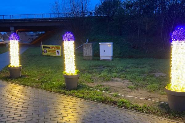 A Belgian city’s unintentionally phallic Christmas lights