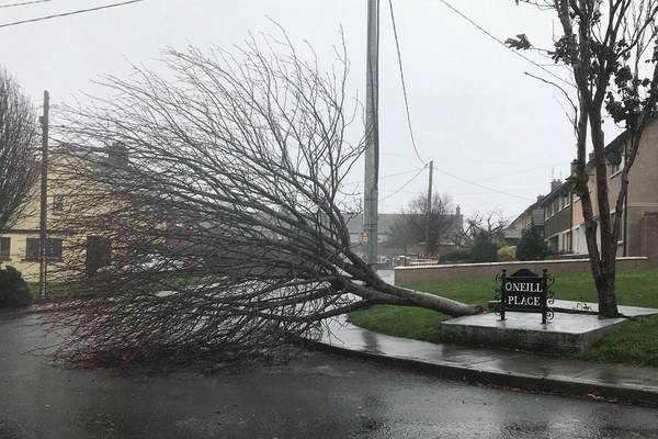 Storm Ophelia clean-up continues across the south east