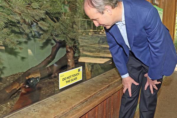 Close call for Taoiseach as Dublin Zoo welcomes visitors