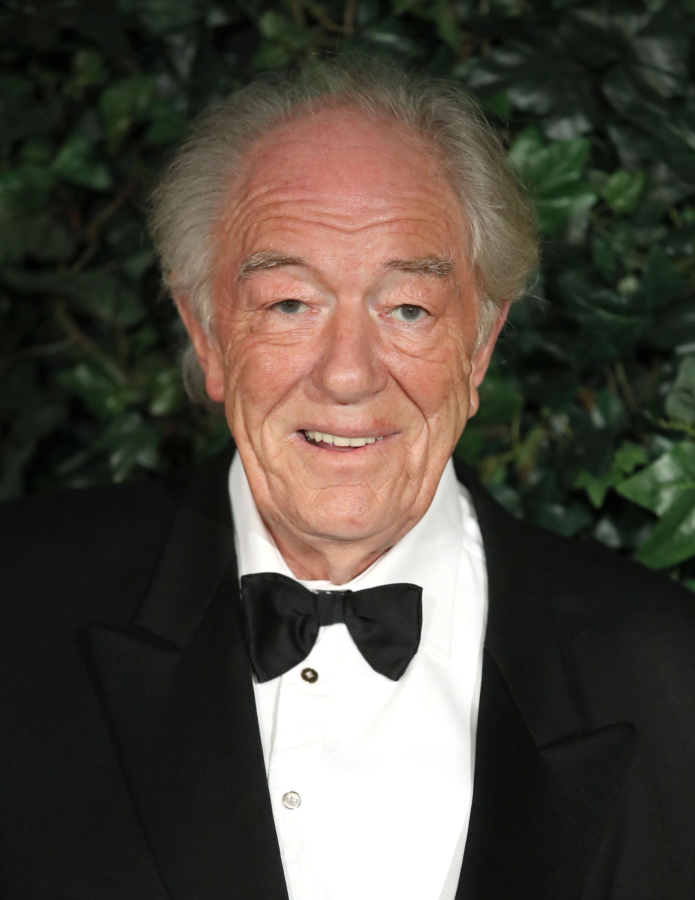 Sir Michael Gambon obituary, Michael Gambon