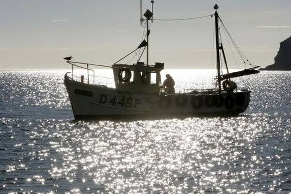 Hard Brexit would be ‘unmitigated disaster’ for Irish fishing industry