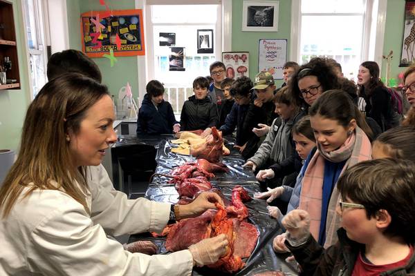 Blood, guts and Dumbledore make impressive science for primary school children