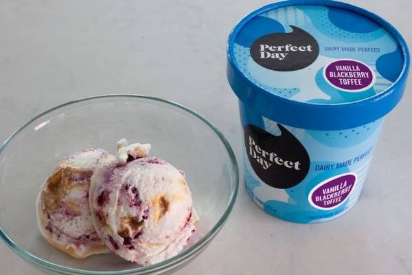 Dairy-free ice cream with lab-grown protein by Cork company goes on sale