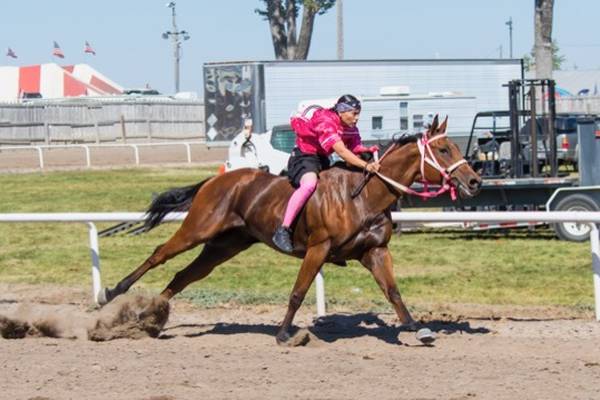 ‘Near-death experiences happen a lot. But I pray to ask for protection and for my horse to be okay’