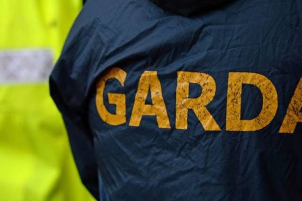 Two people arrested after firearms seized from Dublin property