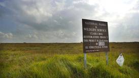 Rare moss thought to be extinct in Ireland found in Offaly bog