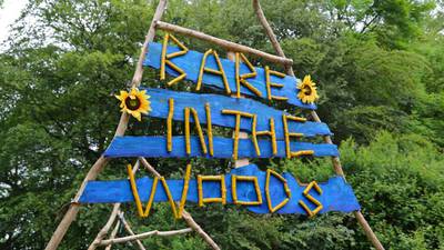 Bare necessities: Back to nature at the BARE in the Woods festival