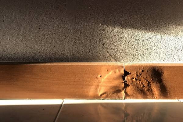 My neighbour caused leak damage to my home. Is he liable?