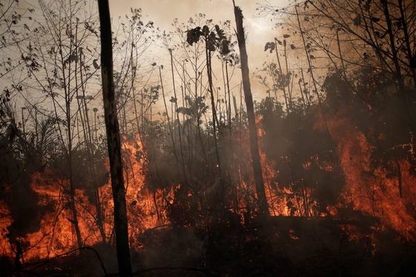 Amazon fires: Brazilian states ask for military help amid record blazes