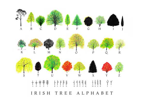 Why I made a new Irish Tree Alphabet