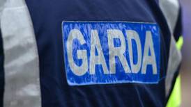 Gardaí raid Dublin premises as part of EU operation against fraud