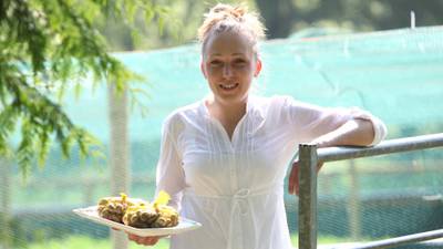 Keeping pace with the escargot business on Ireland’s only snail farm