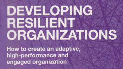 Developing Resilient Organisations