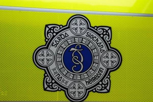 Man in his 30s dies in single vehicle crash in Wexford