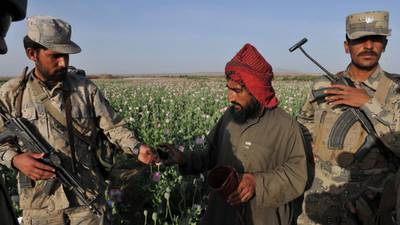 Heroin could spread like ‘wildfire’ after record crop