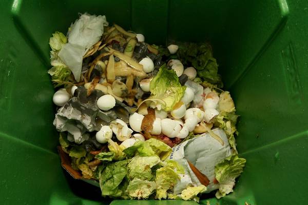 Turning food waste into profit