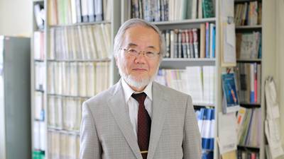 Japanese scientist wins Nobel prize for work on ‘self-eating’ cells