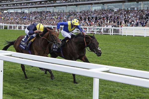 Poet’s Word gives Michal Stoute a thrilling sixth King George