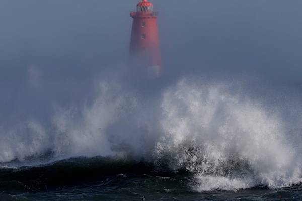 Storm Eunice: Council worker dies in Wexford after being struck by falling tree