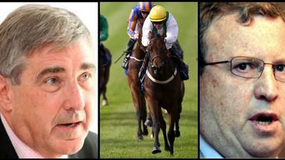 Horse Racing Ireland lobbied on service rule for chief executive