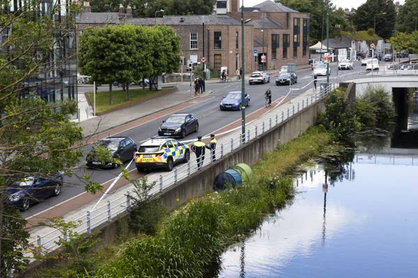 Two men who died in Grand Canal in Dublin were known to homeless services
