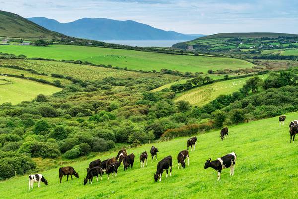 Ireland holds second place in world food security rankings