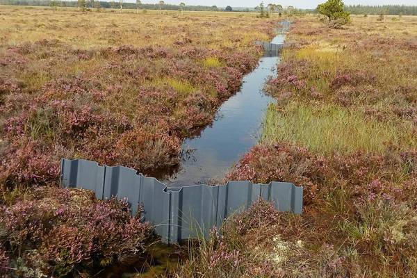 Why peatlands matter in the battle against climate change