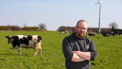Organic dairy farmers consider dumping milk due to poor prices