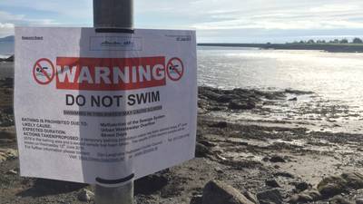 ‘I assume I am not going to die’ - Dublin swimmers and dog walkers on the sewage overflow
