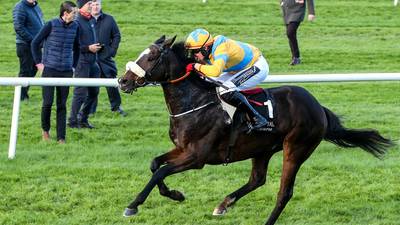 All roads lead to Cheltenham for American Mike after Navan stroll